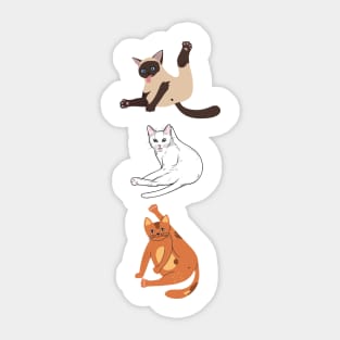 Funny sitting position of the cat Sticker